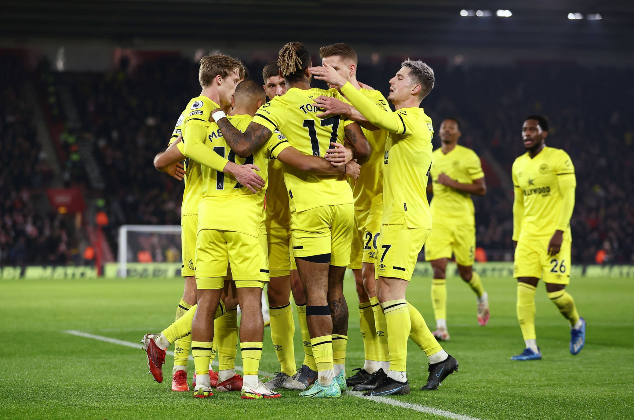 的專業背景 的專業背景